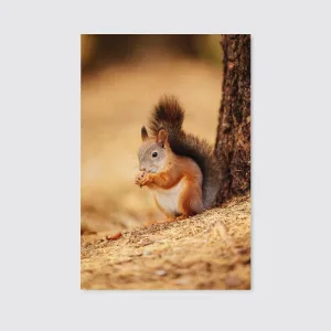 A Beautiful Red Squirrel Sits Under A Tree In The Autumn Forest And Nibbles A Nut Canvas Wall Art Home Decor